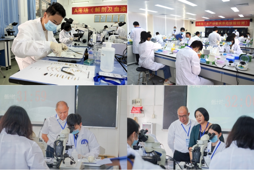 20FDDC7F5793CA2A453021AA6D9_20455FC3_54C28