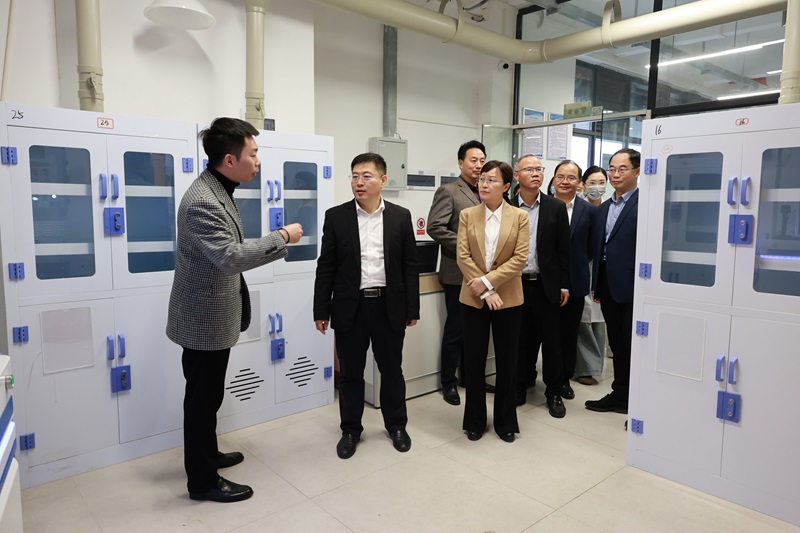 CE810390CF9CD96973F4FA3C6E6_C08F5D5C_2696C