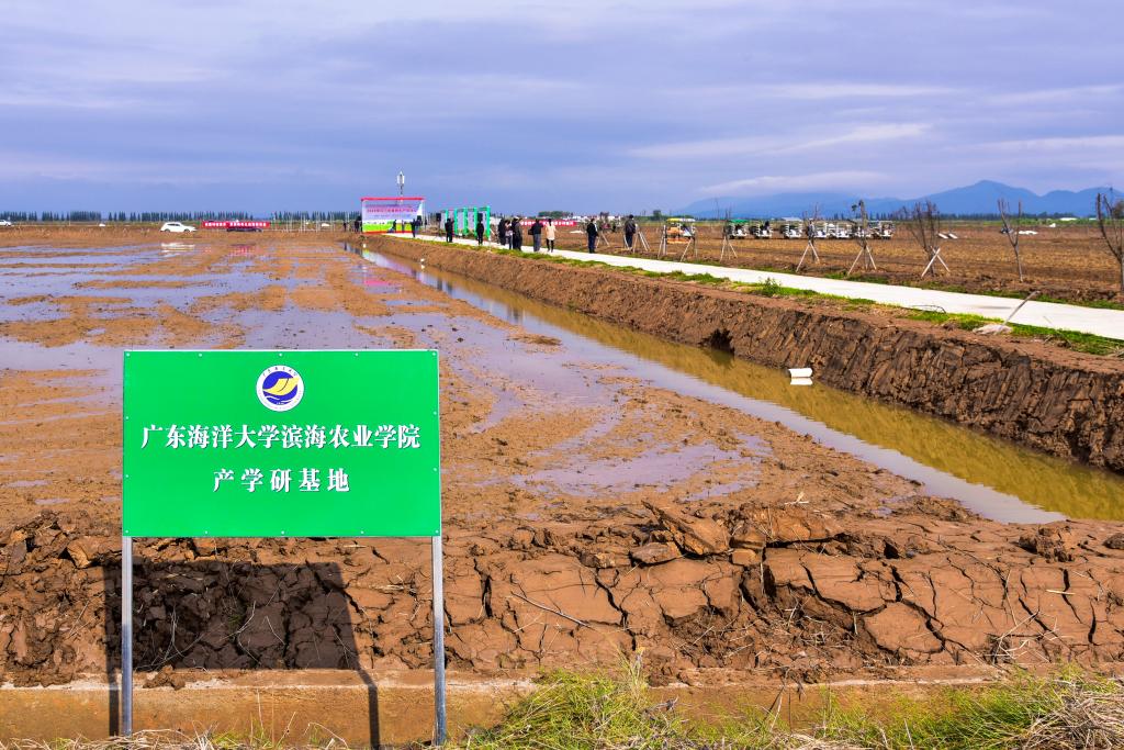 92B508A0F4E56C58A8C68CF1E54_8FA93A95_235AA