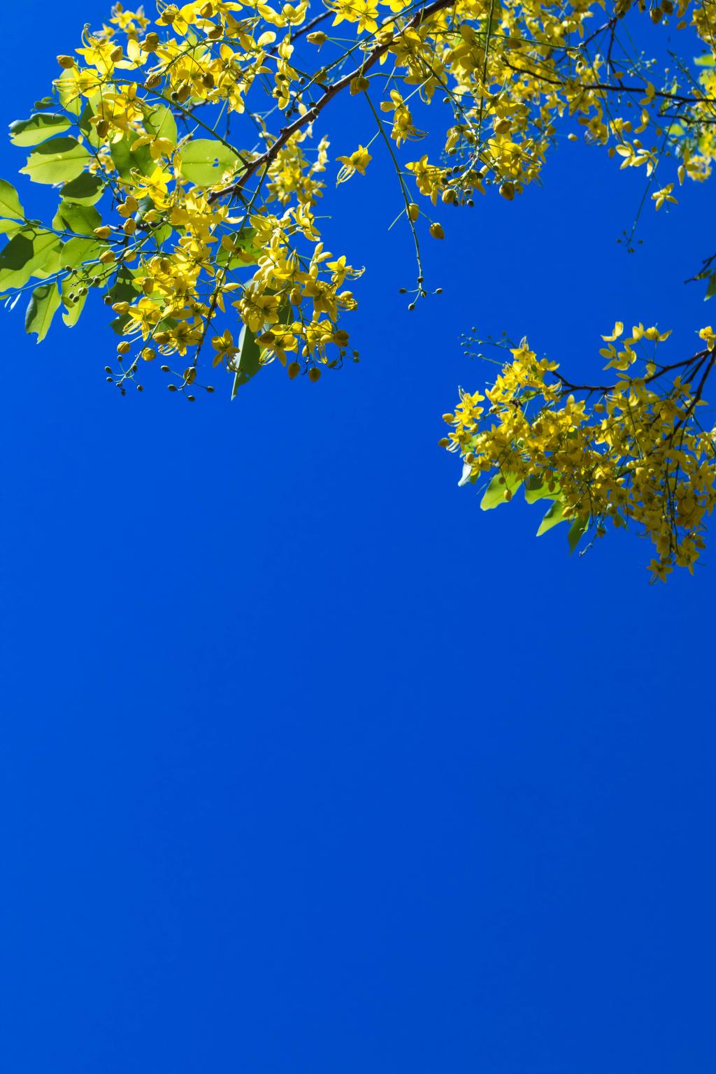 ��ҳ|�Ϲ�NG28��������Ʒ��ʵ������