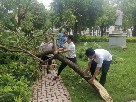 1E0EB703180BBAF3265E3DED76E_D1288F9C_E18C0