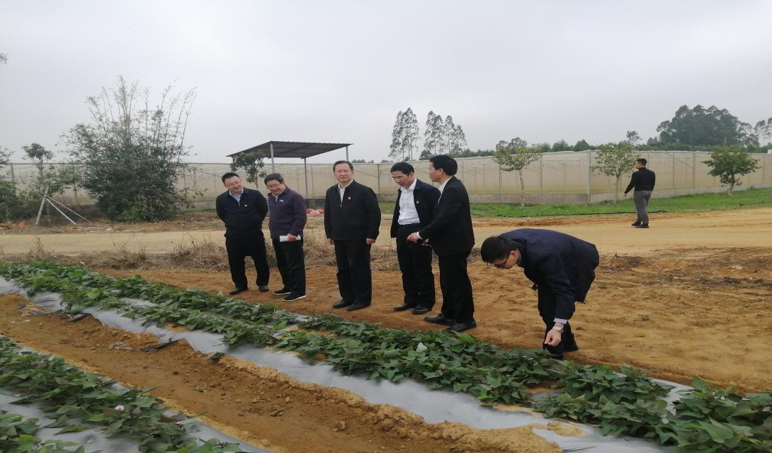 8E9323A00F3BBB648AAD3B9F9F0_686742A9_C94D5