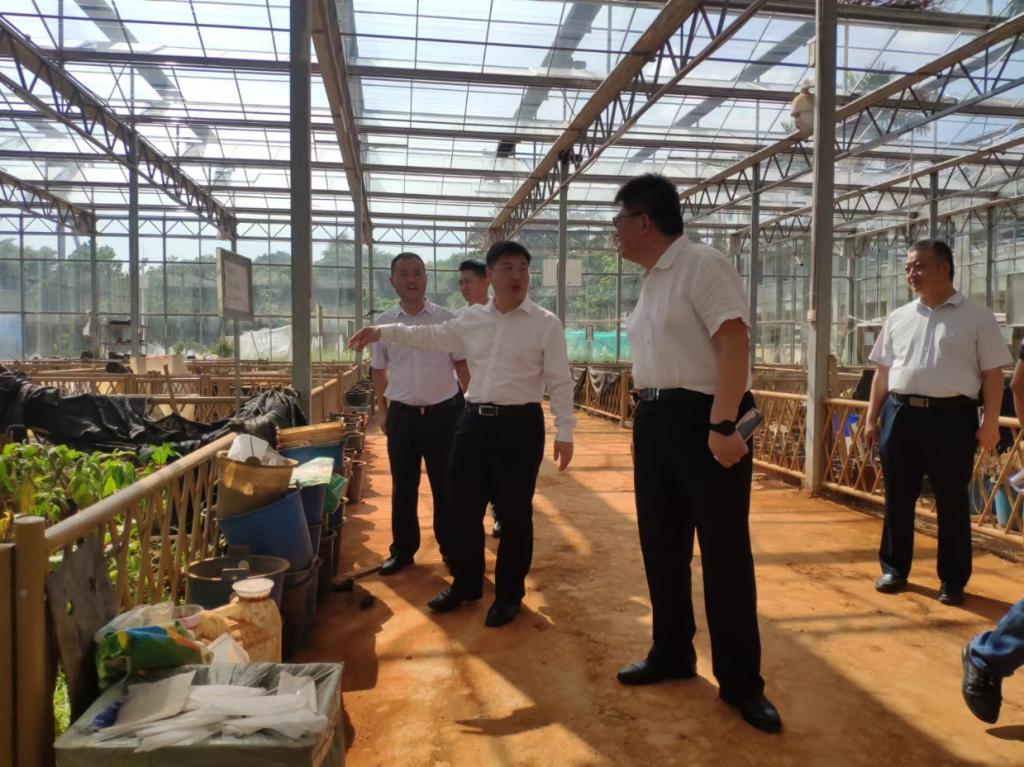 E0E0C8AA6AEF81ECC65F7DF2627_14D72C68_209EB