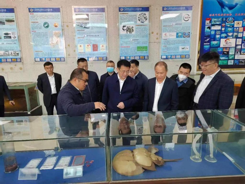 1E1B6D29E9B0E9BD2D2C01A575B_56D36A54_1C89D