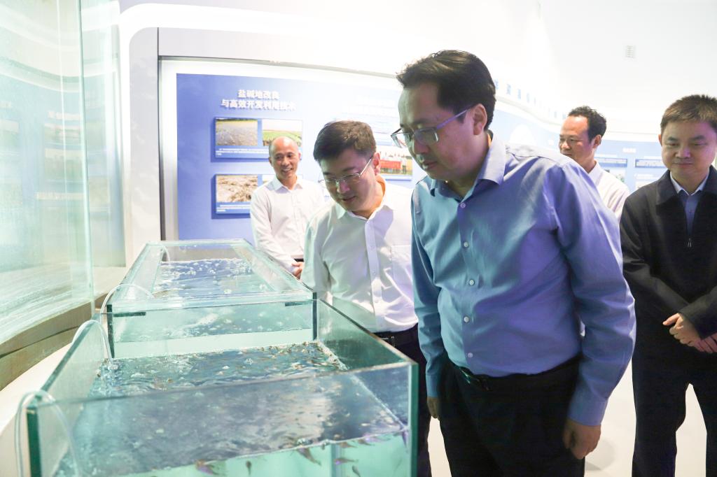 43755BFEF4B50EB488A2D12AA35_9FD9547F_13066