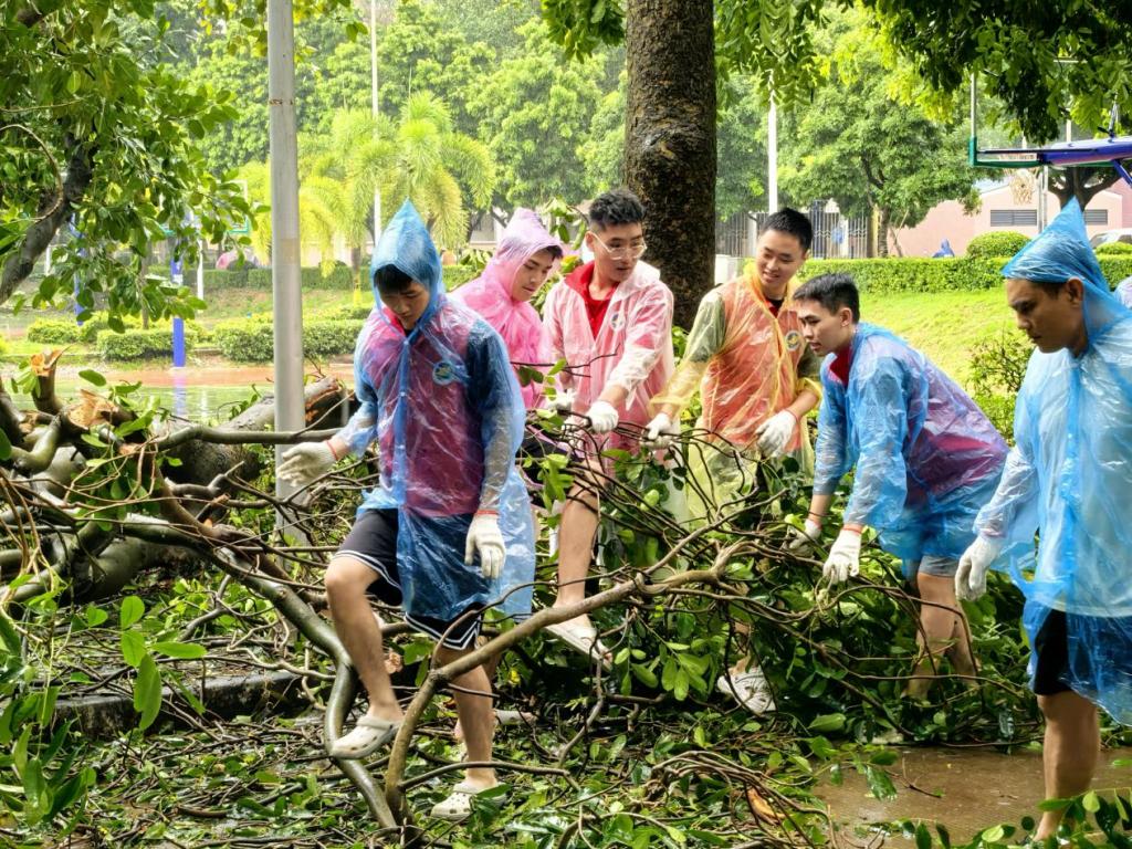 D5F8962C330CA8B585B03389146_EA530935_36B0C