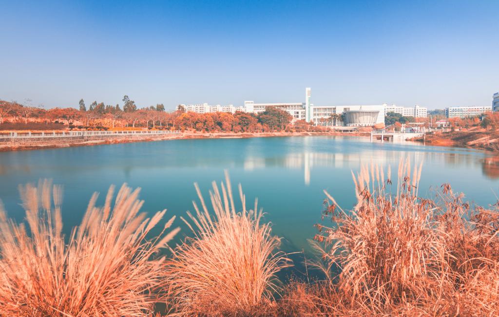 ��ҳ|�Ϲ�NG28��������Ʒ��ʵ������