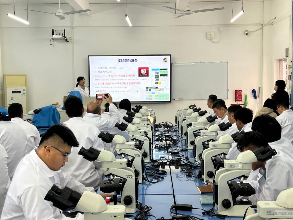 1369CAF6F6FB3E896BA2F503136_4411B2E7_1CC78