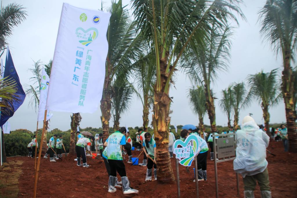 6911015122D7344C78F6FECAC33_DCAC41D3_1E828