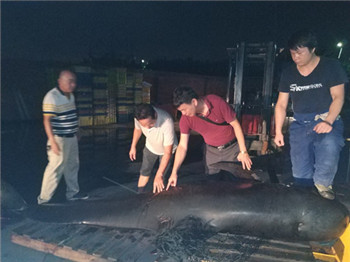 ��ͼ���� ��С��    ��һ����֫�캽��       _20190625090447.jpg