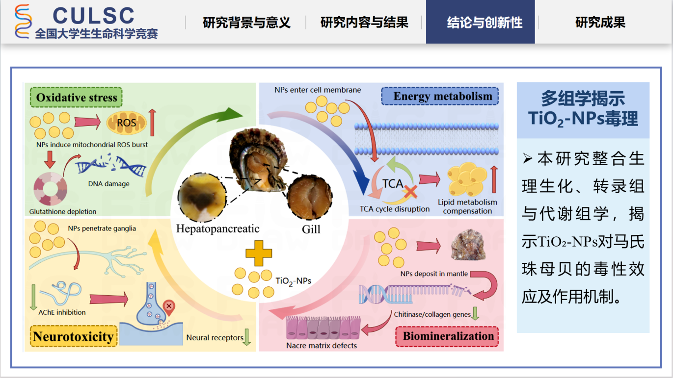 8CDF2153189FD79207987C0E8B9_52E67B53_883C1