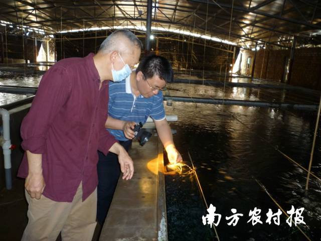 ��ҳ|�Ϲ�NG28��������Ʒ��ʵ������