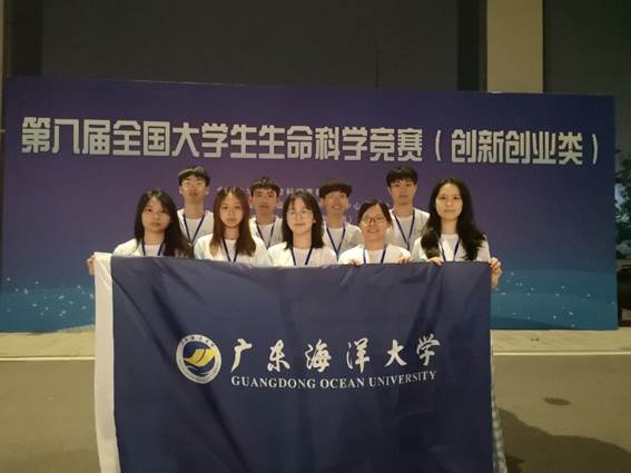 003CD4A1FA176D88FCE7DF01662_D9BA11D8_60E5