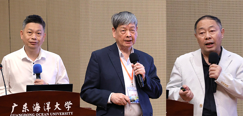 65A54B2D093E3E614C6BED8CB37_E5B7DB33_4F86E