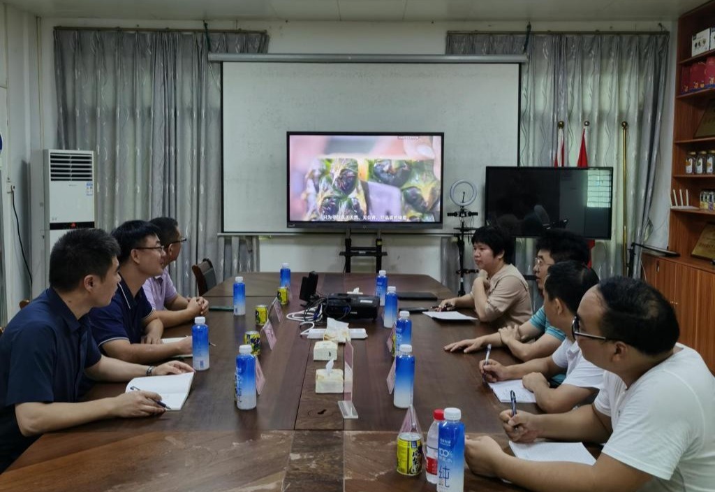 ��ҳ|�Ϲ�NG28��������Ʒ��ʵ������