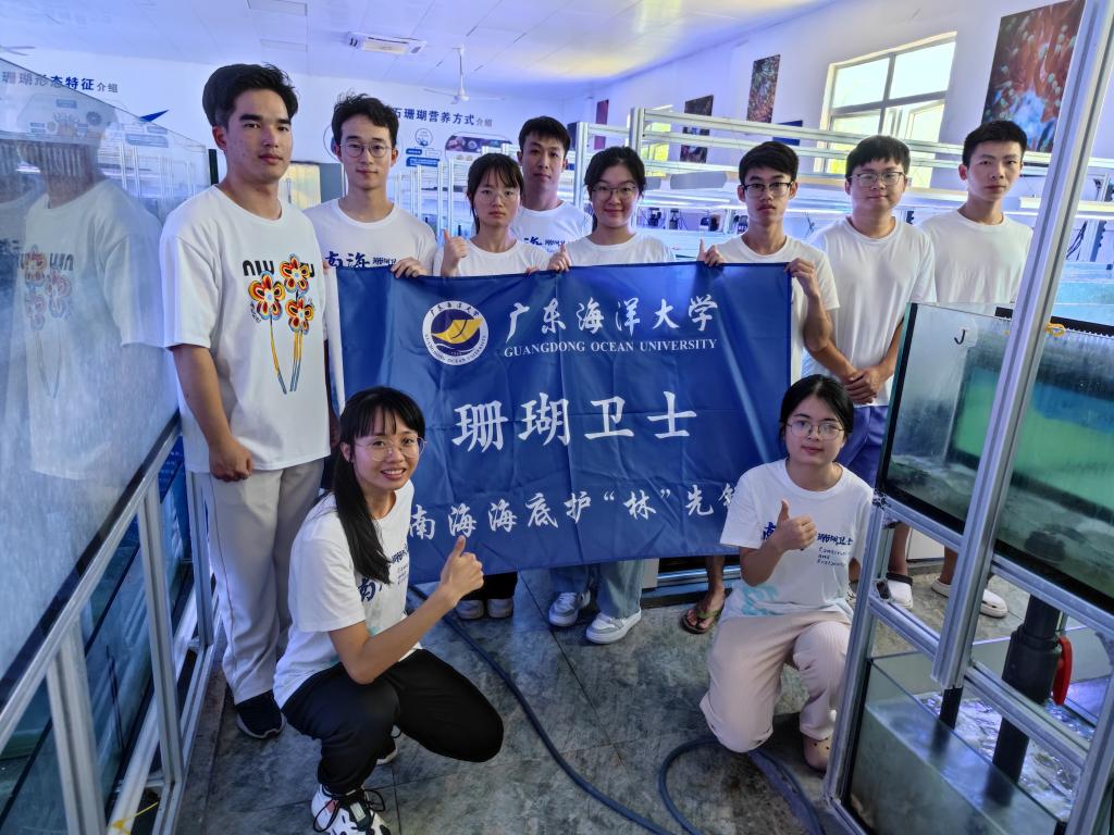 A8B5C8D574619F854EB0BEEA0B1_44F10337_20726