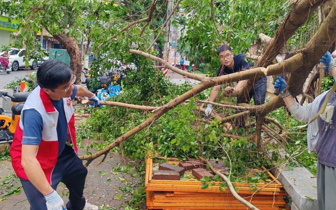 3F11885D1479BADC794B1C3F11D_1E81221C_D7C54