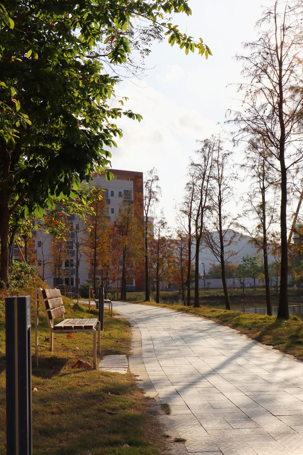 B6AD9F189E6430F29890D2B7407_9A22695B_54221