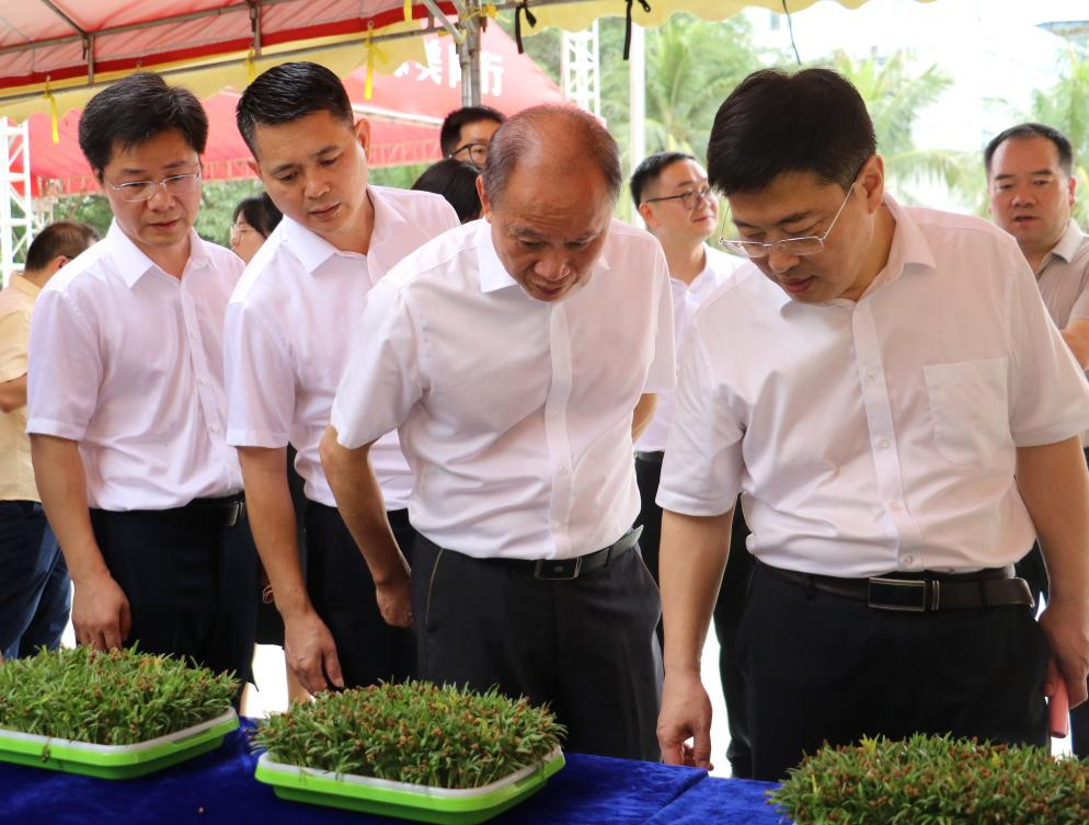 190A0568EF7119FF3C308115C70_CC2AFA7D_DDA27 190A0568EF7119FF3C308115C70_CC2AFA7D_DDA27