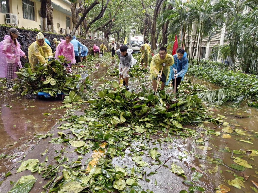 E39E6D2F1AF77133BFCA12A9F37_031D3E6C_3746B