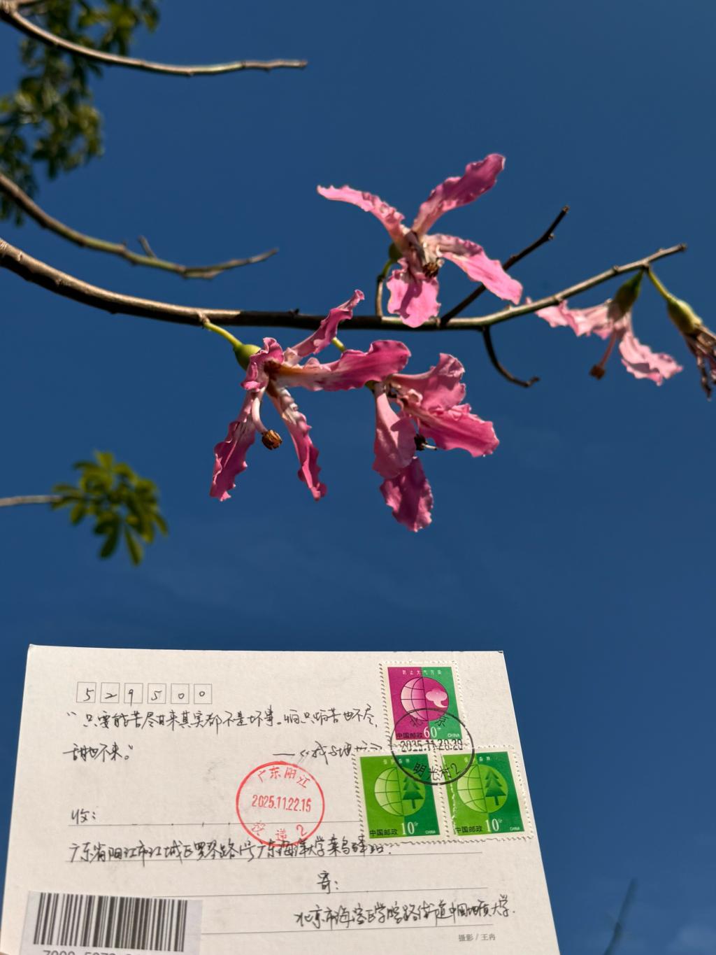 406587E55E61976058FD82FA2B0_21238383_19C17