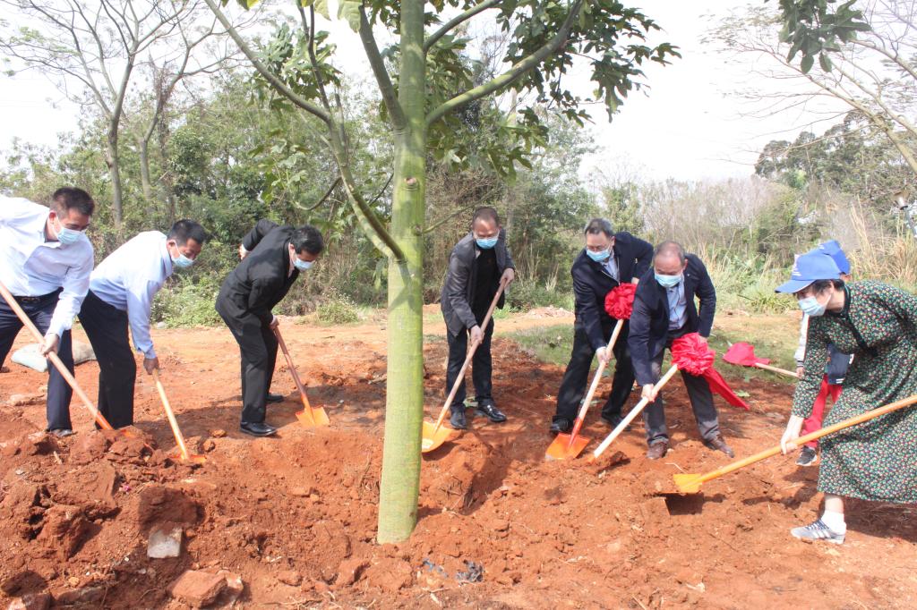 5126A4776F233A067C20E9B8855_34FFF4F1_2A3F8