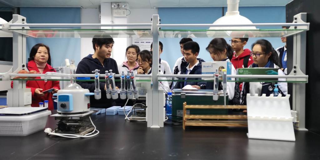 6C70FBB5EBE1CCB46B367DCCE33_D8F45F41_12302 6C70FBB5EBE1CCB46B367DCCE33_D8F45F41_12302