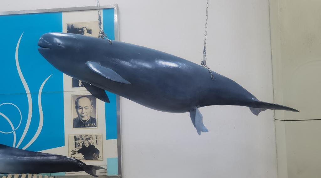 EE0915429EE3E2AF0354EB372A1_0BCAEED9_A0BF