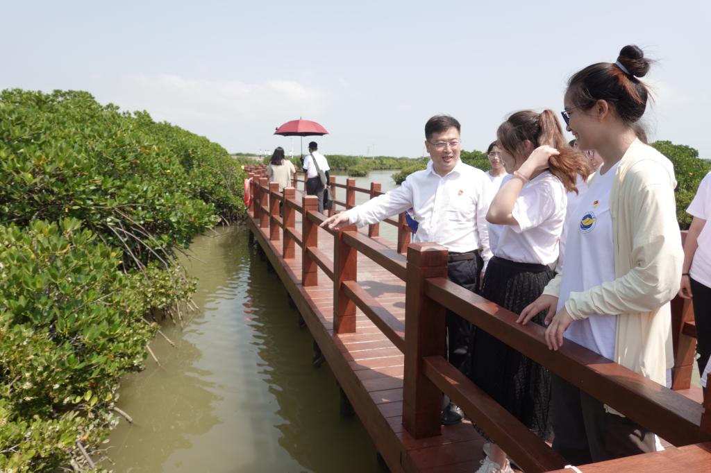 FBEC59678E7A53EF89DC3BC7DF5_102FA73B_1767A