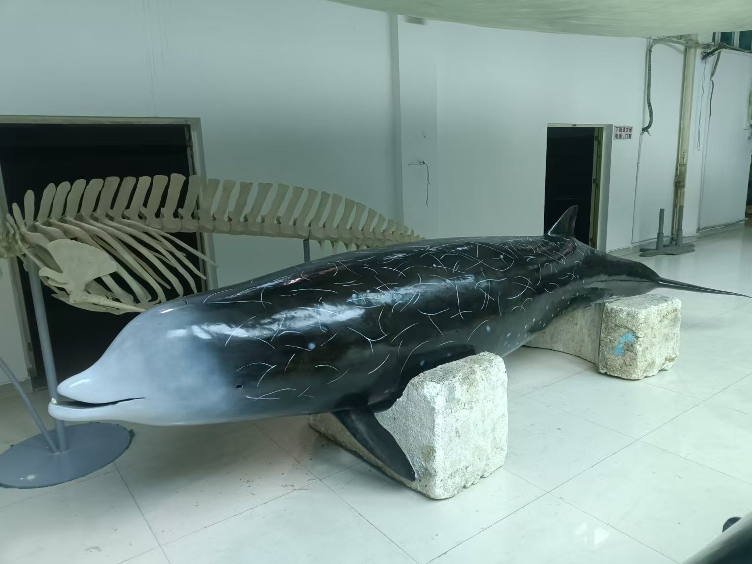 B4A9D1E37150E2C922F84253229_28946D64_253D1