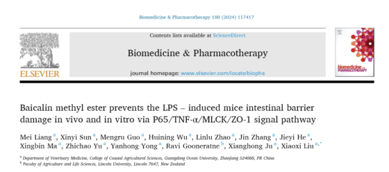 912EF54F9391E6BB013978EFF7B_B147AE6B_87EC5