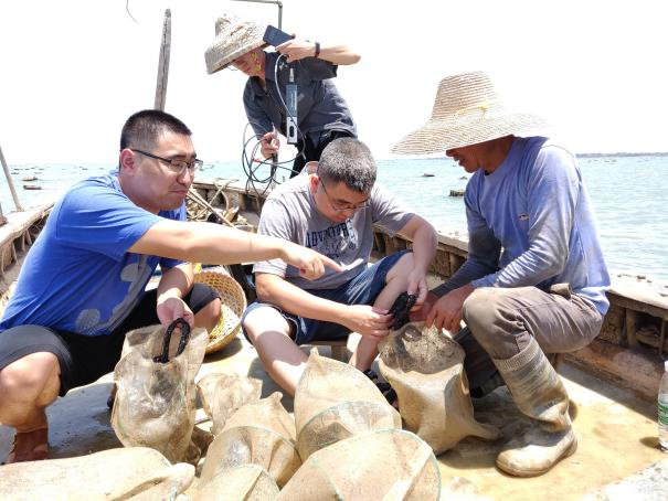 C5CFEB09575971516AE1167C849_0A48434F_72193