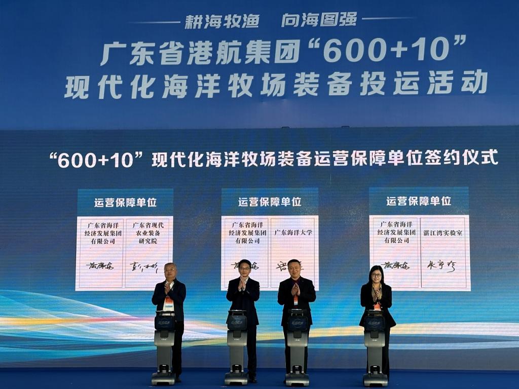 8F1C9C027ECDB3CA3A20081878B_E72DD2A6_1BA9C