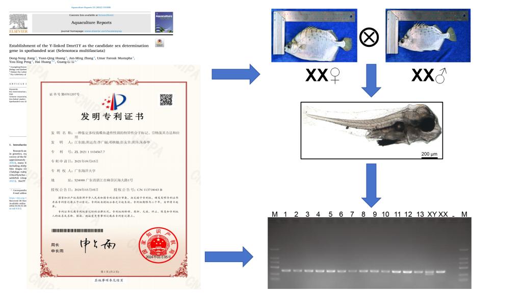 E28D3CB0D088443022AC9B024A5_88D3BBDB_F1C0 E28D3CB0D088443022AC9B024A5_88D3BBDB_F1C0