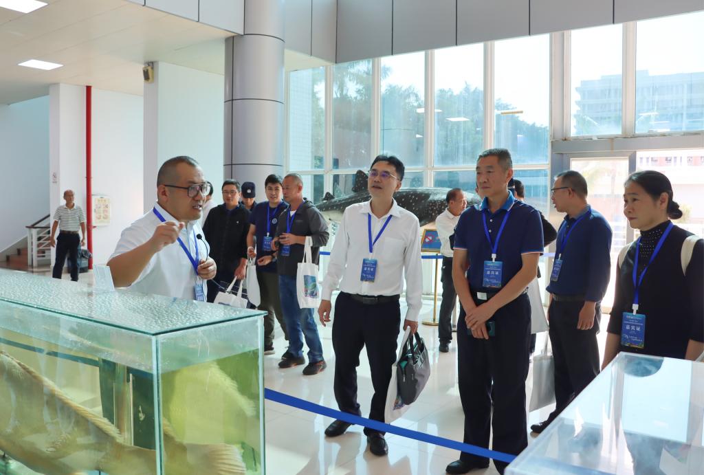 BE3294F5F192637DDCFD2E2FE79_A8847EAD_160E4