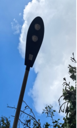 B0A7468A74C9F8BA20E0BB4D533_55ACF2A6_FDB4