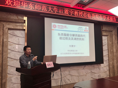 1573634893275403.jpg 1573634893275403.jpg